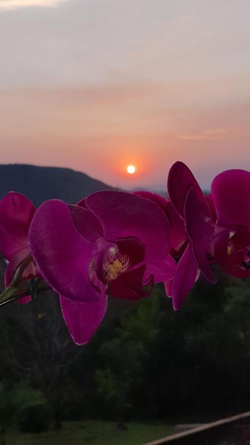Pousada Flor De Lotus Dos Canyons Praia Grande  Extérieur photo